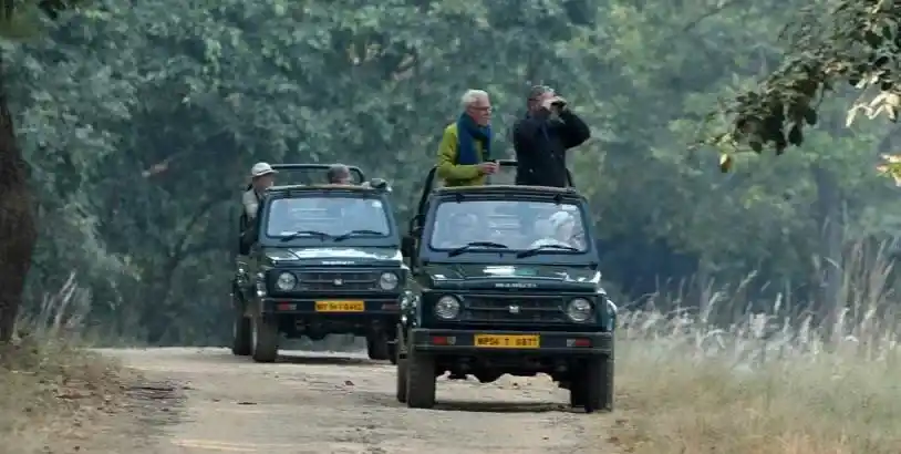 reach bandhavgarh