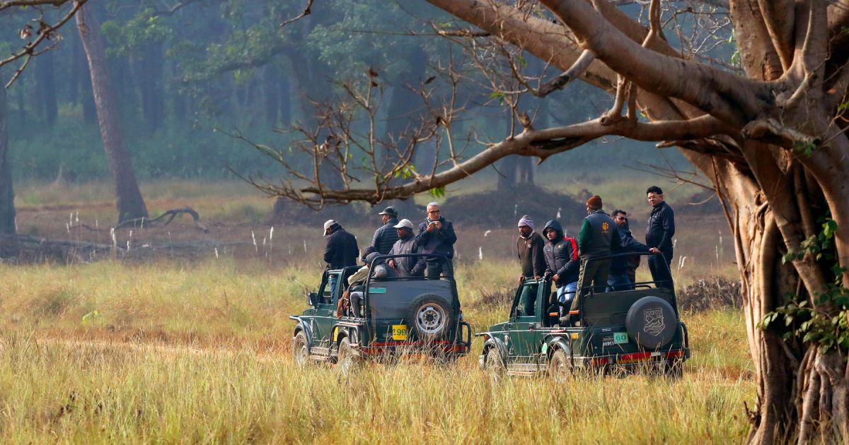 bandhavgarh jeep safari