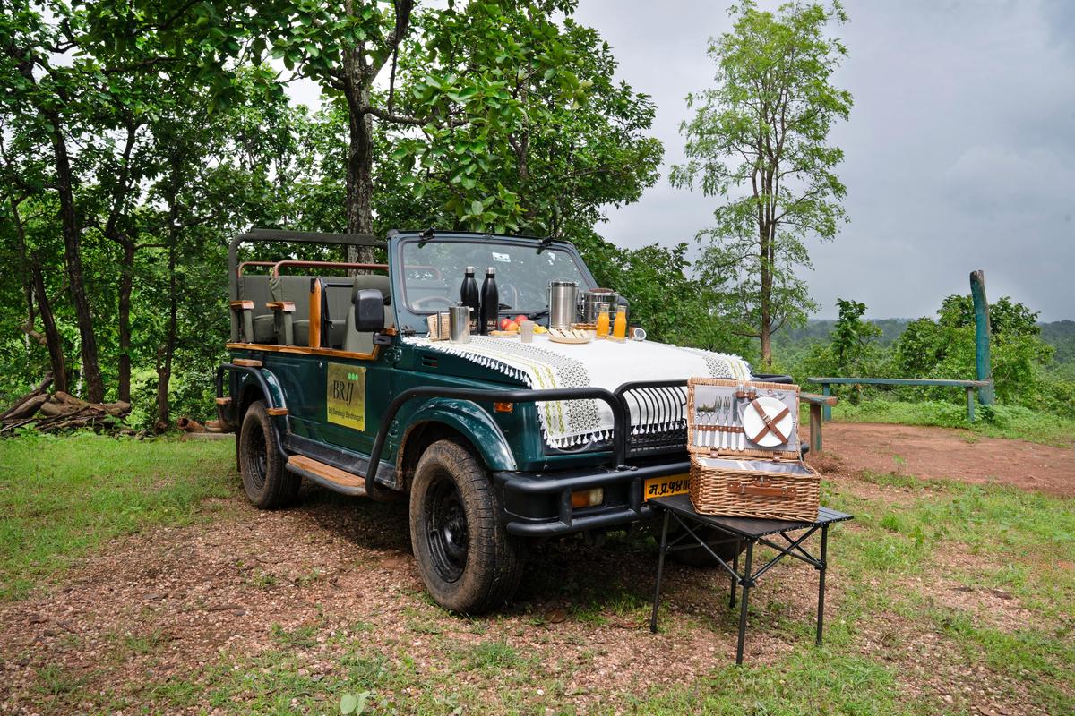 bandhavgarh gypsy safari