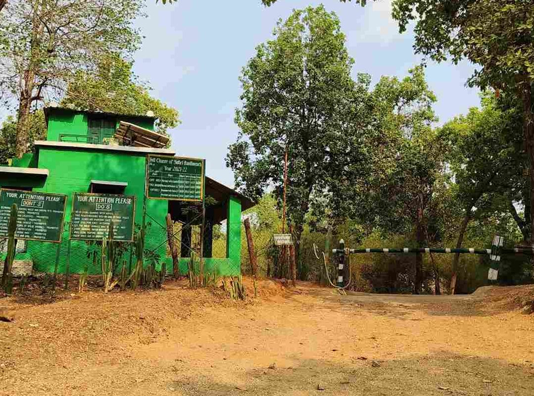 bandhavgarh jungle summer